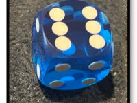 16mm Precision Backgammon Dice - Blue