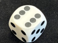 16mm Precision Backgammon Dice - White
